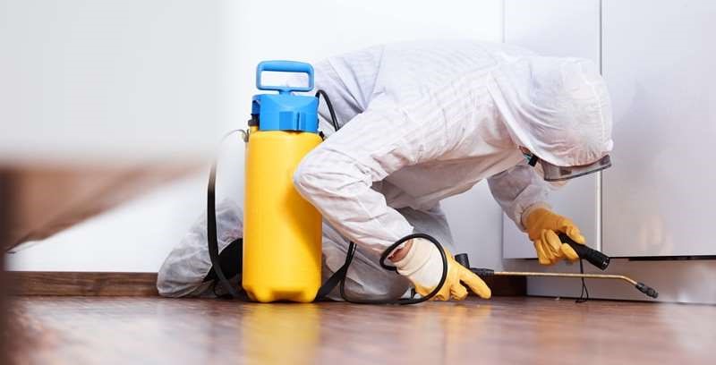 Pursaklar Haşerat İlaçlama