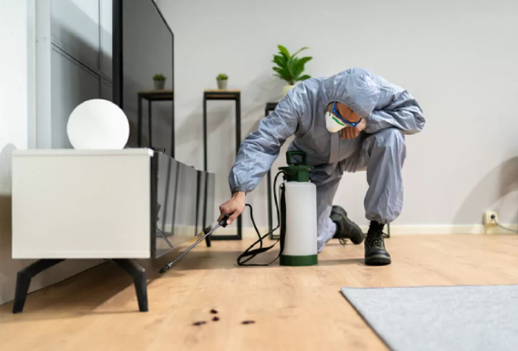 Keçiören Ev İlaçlama