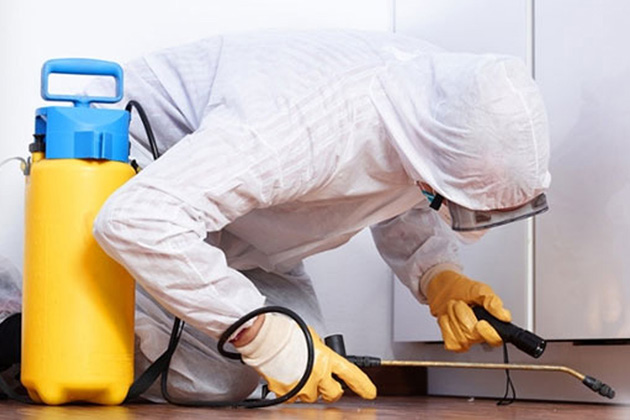 Ankara Hamam Böceği İlaçlama