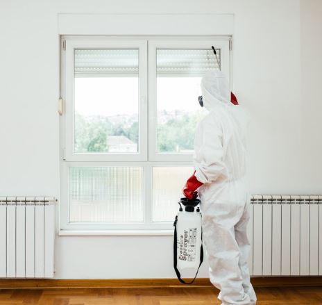 Ankara Pire İlaçlama