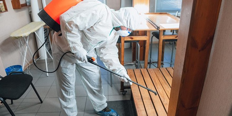 Ankara Tahta Kurusu İlaçlama